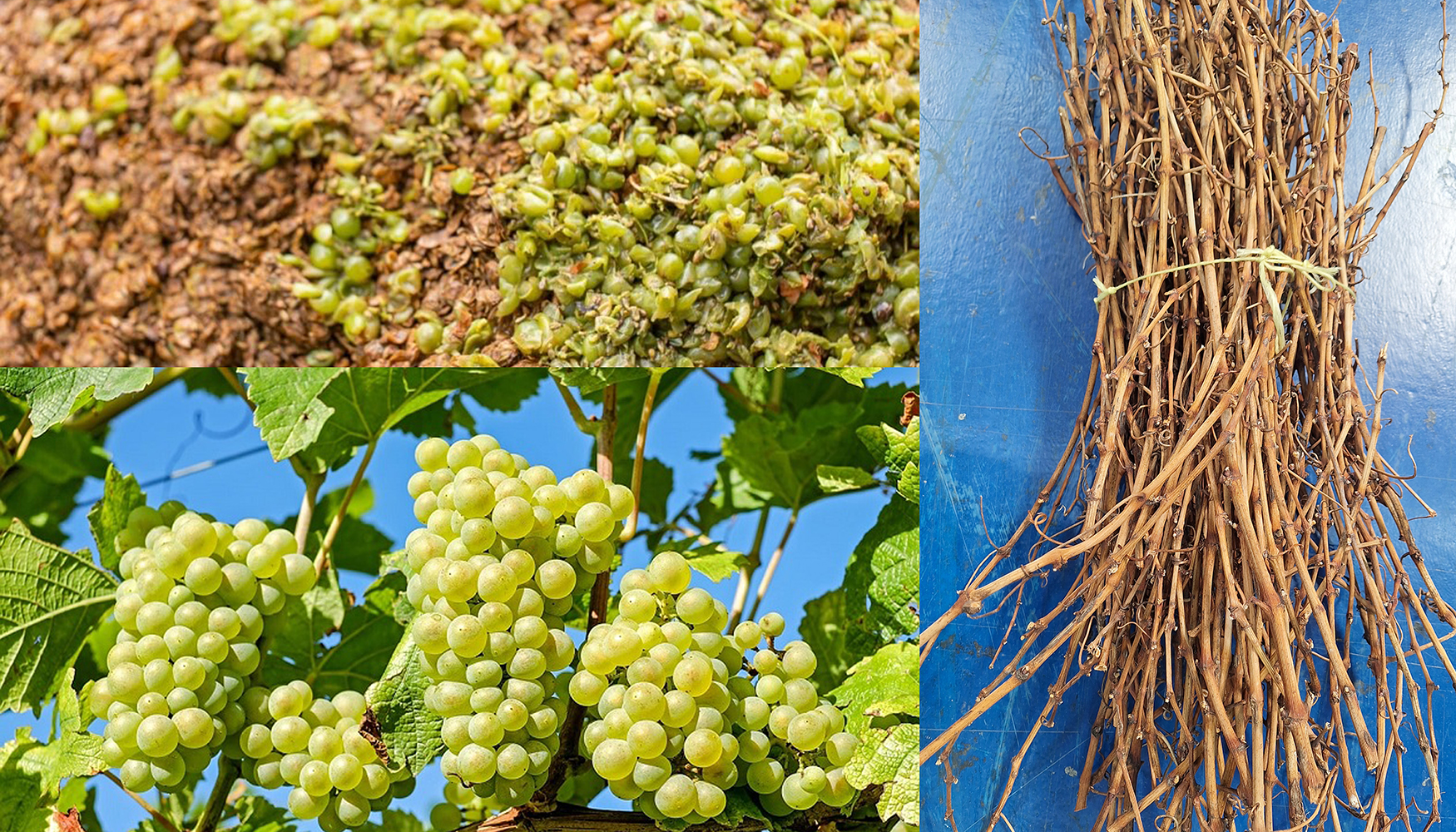 En BIWIN2 participan, adem�s de Gaiker, Neiker Tecnalia, Ceit, BCMaterials y el grupo Biomat de EHU...