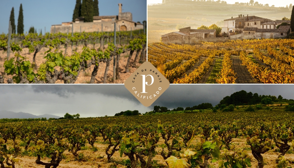 El Ministerio de Agricultura, Pesca y Alimentaci�n (MAPA) avala y certifica cinco nuevos Cavas de Guarda Superior de Paraje Calificado...