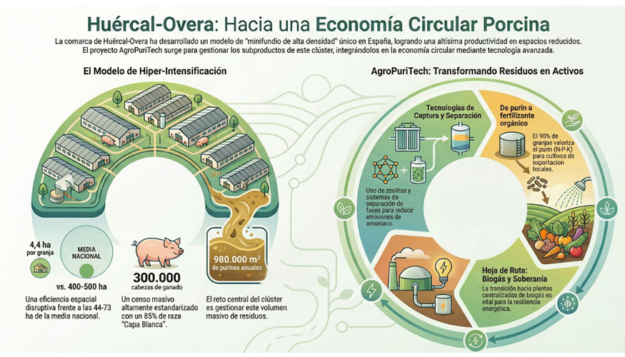 Figura 1. Hu�rcal-Overa, m�s de 300.000 cerdos