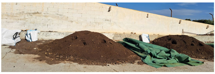 Figura 4. Compost de pur�n de cerdos utilizado en semilleros e invernaderos