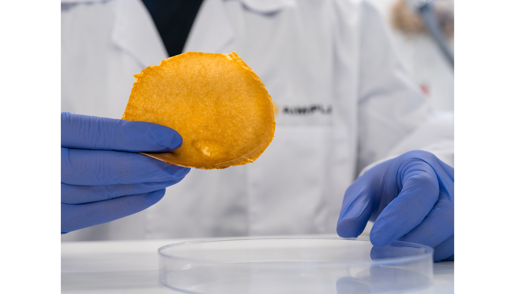 La investigaci�n emplea micelio f�ngico para desarrollar piel vegana destinada al sector textil y quitosano para crear microc�psulas con aplicaciones...