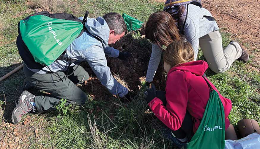 Empleados y familiares de Aimplas participan en la plantaci�n de un bosque de 1,5 hect�reas en Villargordo del Cabriel...