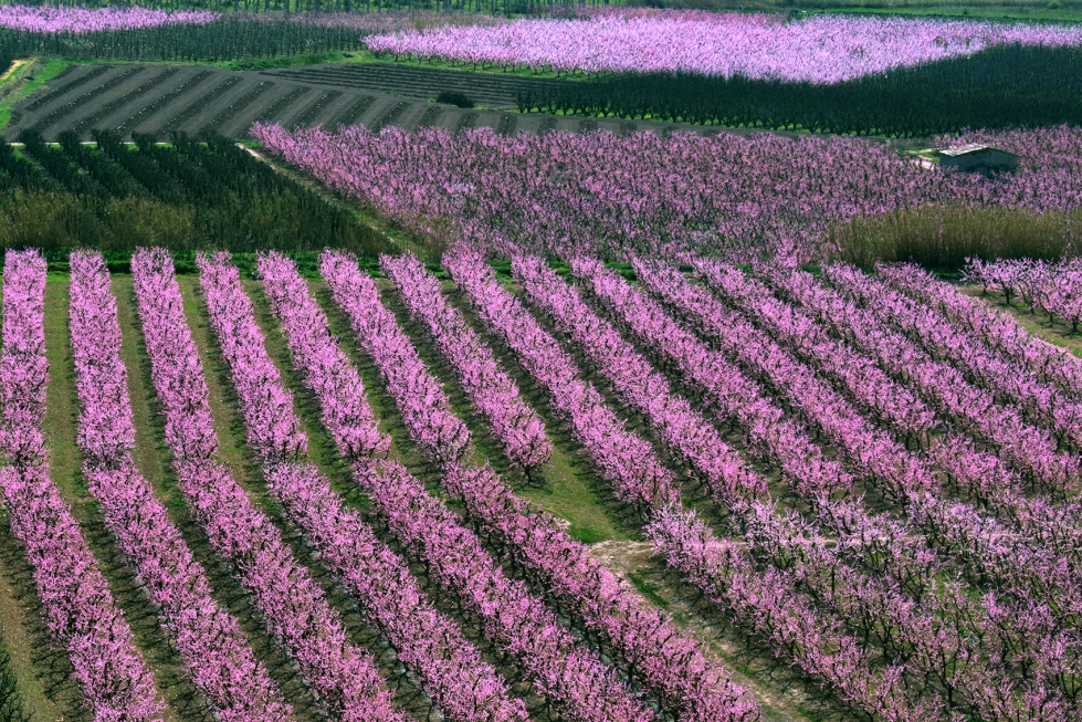 Cuando los bioestimulantes pasen de ser un a�adido a convertirse en parte del sistema, el debate dejar� de ser ideol�gico y pasar� a ser operativo...