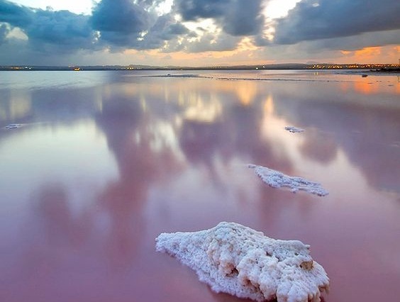 Imagen de las rojizas salinas de Sant.a Pola (Alicante), donde Mojica descubri� el CRISPR