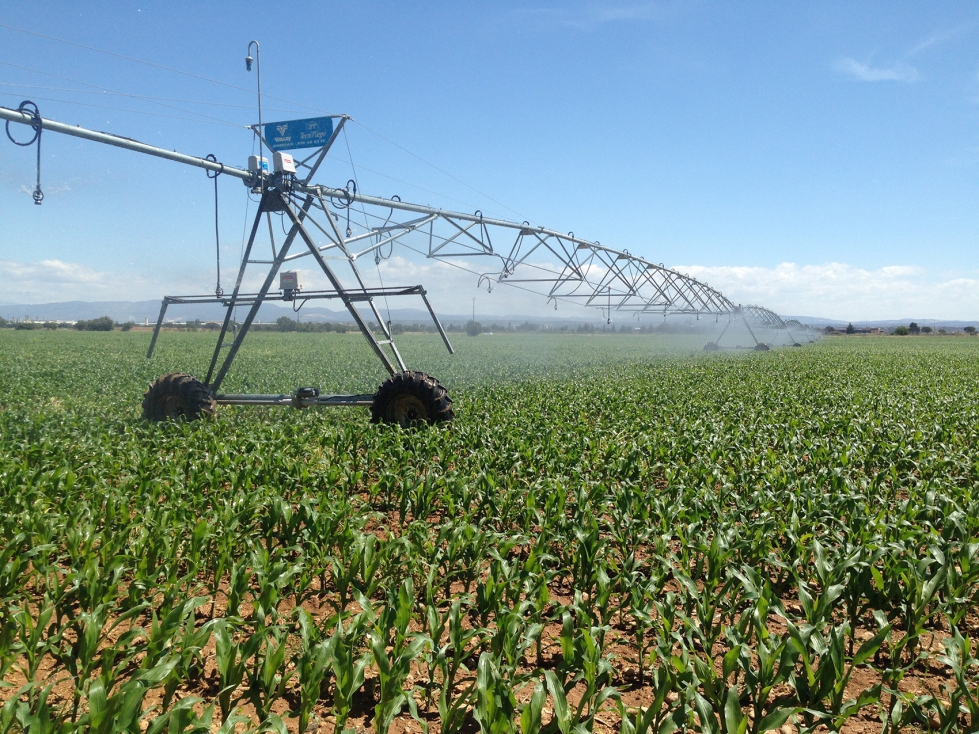 �Las empresas de servicios y las cooperativas son el verdadero vector de transformaci�n del sector�