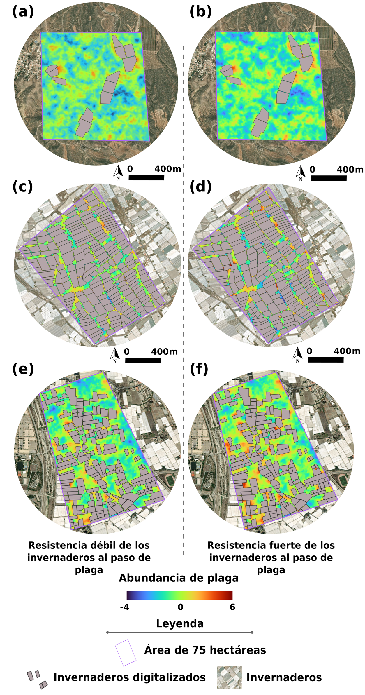 Figura 2. Simulaci�n de la distribuci�n espacial de plagas en paisajes con distinta densidad de invernaderos...