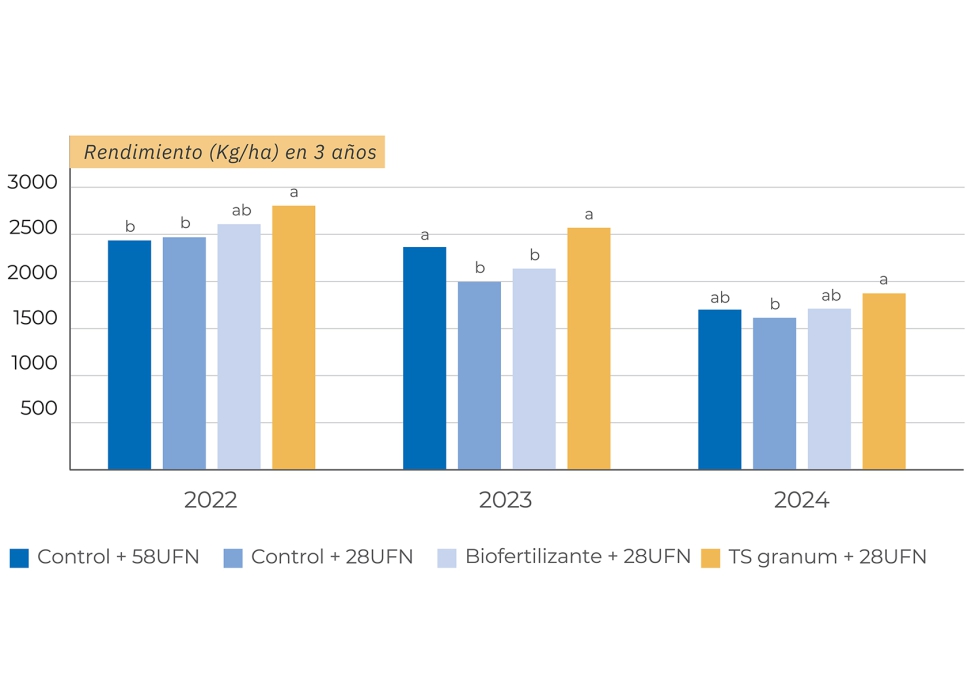 Gr�fica 1. Rendimiento del trigo (Kg/ha) en 3 a�os de ensayo consecutivo (2022, 2023 y 2024) en los diferentes tratamientos planteados...