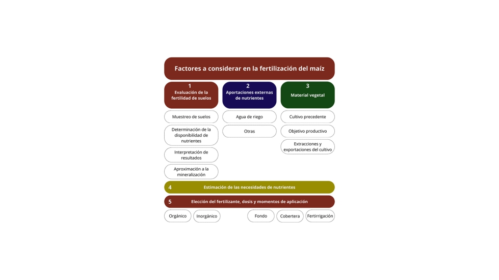 Figura 1. Factores a considerar en la fertilizaci�n del ma�z. Los n�meros indican el orden a seguir