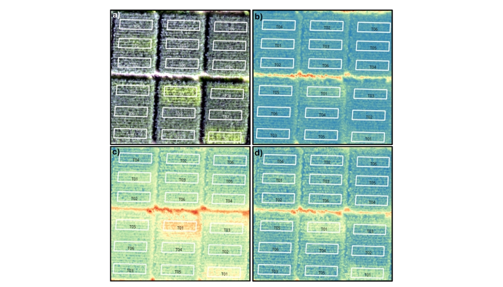 Figura 2. Imagen a) RGB. b) NDVI. c) NDRE. d) GNDVI del 28/08/2025 del ensayo