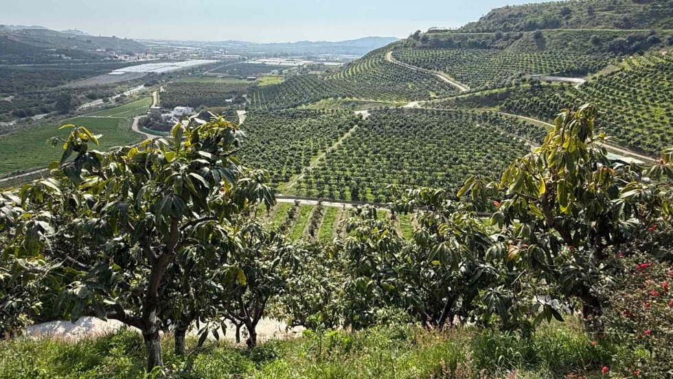 Centro de Innovaci�n de TROPS en la Axarqu�a malague�a