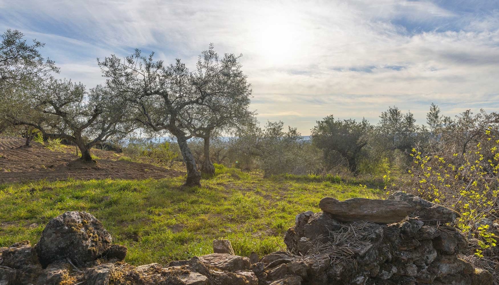 La agricultura regenerativa carece a�n de un marco de certificaci�n consistente