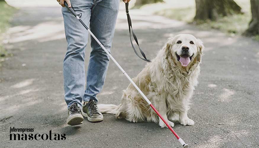 Un usuario, junto a su perro de asistencia