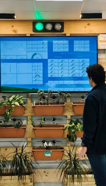 Figura 1. Espacio f�sico del Rainforest Corner