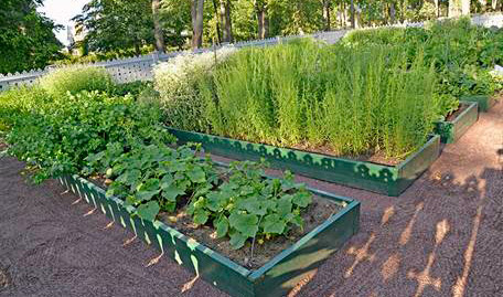 Viveros Don Pedro, empresa familiar de Mejorada del Campo, se incorpora a la Asociaci�n Espa�ola de Centros de Jardiner�a...