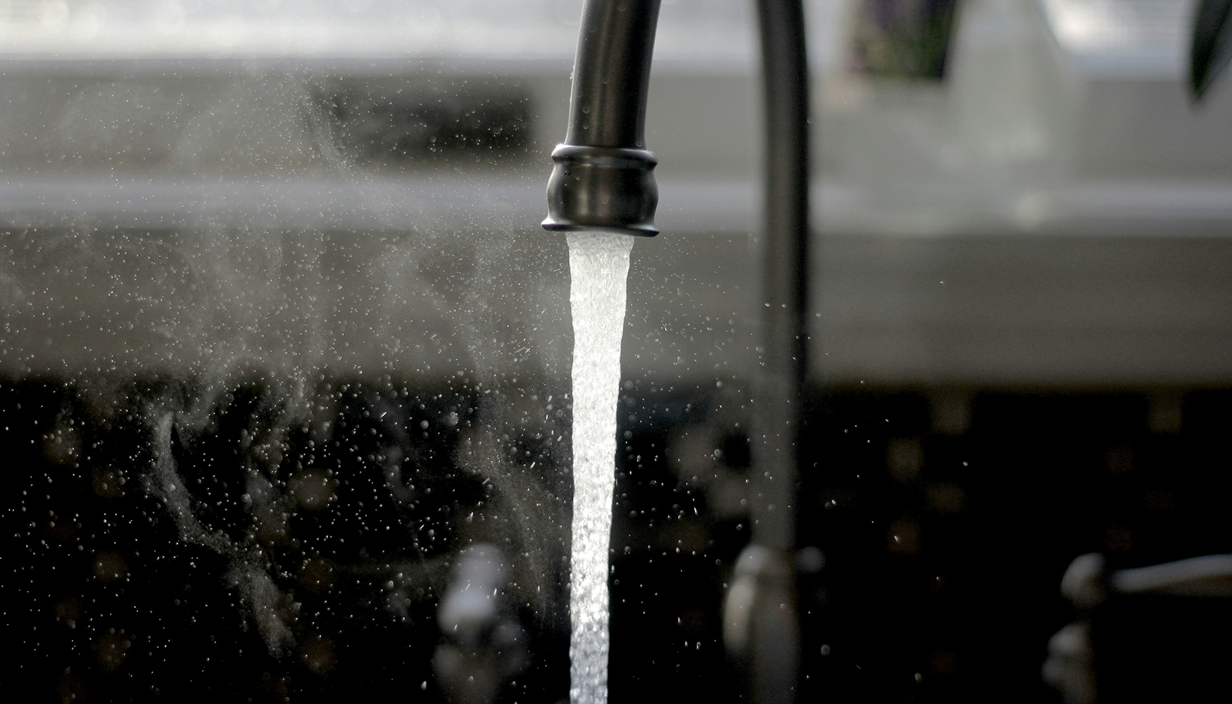 La investigaci�n analiz� la incorporaci�n a modelos existentes del efecto de distintos par�metros ambientales...