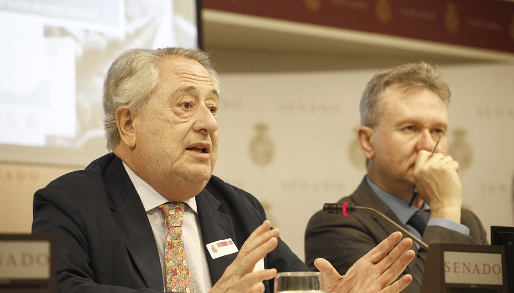 Intervenci�n de Javier Targhetta, presidente de la Fundaci�n Miner�a y Vida, en la Comisi�n de Industria y Turismo del Senado...