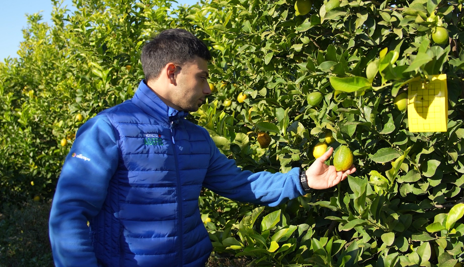 Gracias al proyecto AGEFIS...