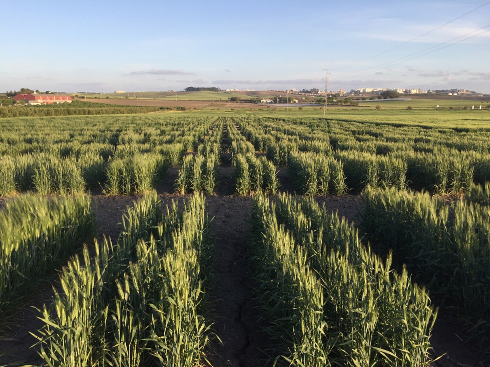 Las personas interesadas en asistir ya pueden formalizar su inscripci�n a trav�s de la web oficial del evento: https://www.jornadasgenvce2026...