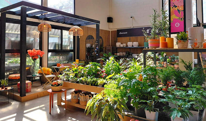 La propuesta de espacios ambientados facilita la inspiraci�n del cliente...