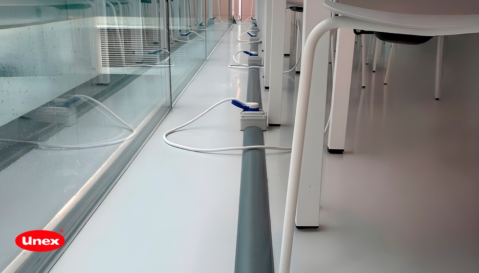 Canales Zocalo suelo de Unex