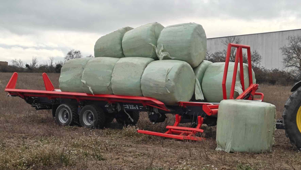 Bolo plano preparado para el giro