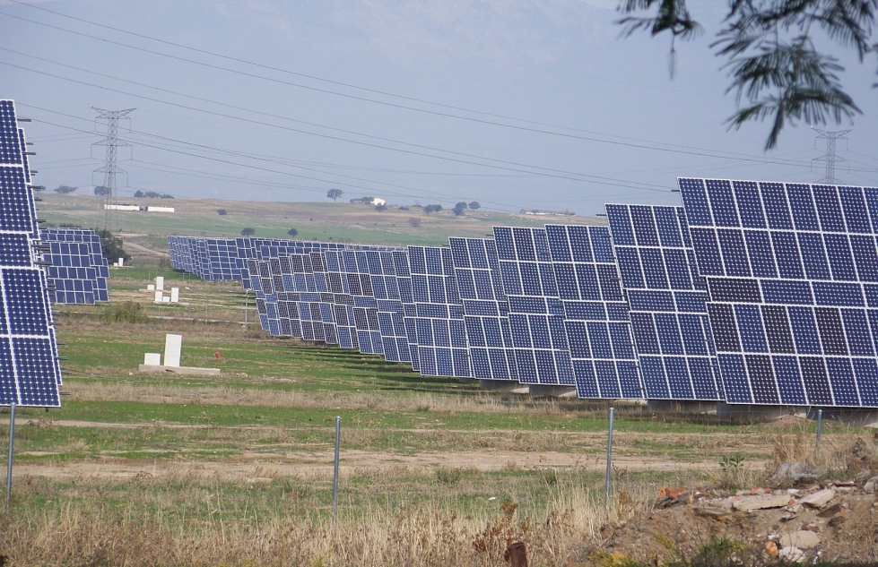 Placas solares en campo. Foto: Isabel Caballero