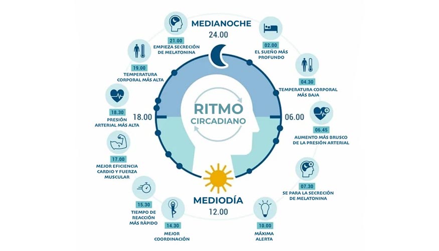 El ritmo circadiano regula los ciclos biol�gicos diarios, siendo altamente sensible a la exposici�n a la luz, especialmente en el espectro azul...