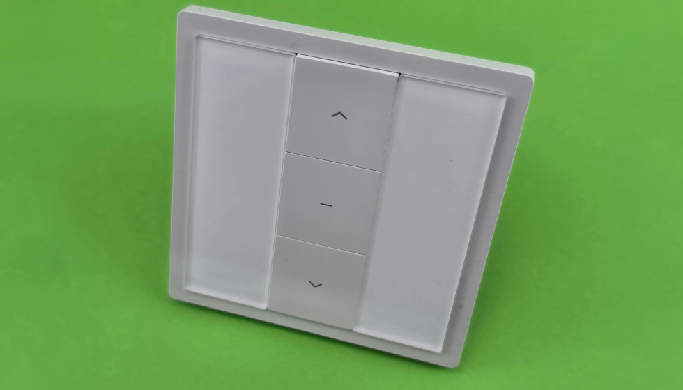 Interruptor BGM 02191