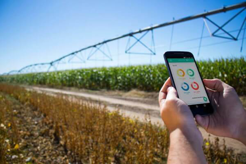 71 entidades acreditadas impartir�n m�s de 300 cursos que suman m�s de 11.300 horas lectivas