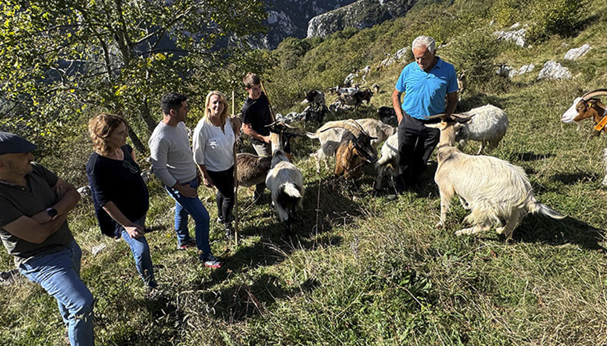 Foto de Cantabria inicia el pago de las ayudas a la ganader�a sostenible de ovino y caprino