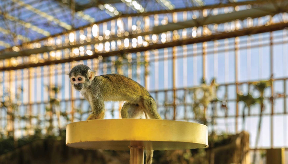 AGC dise�� para la cubierta de vidrio de Edenya - Brugelette una soluci�n de acristalamiento capaz de combinar grandes luces...