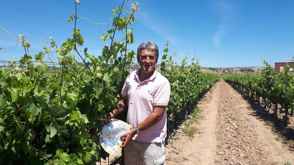 Retirada de hoja embolsada para medida de potencial h�drico