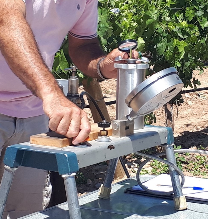 C�mara de presi�n en plena medida de potencial h�drico