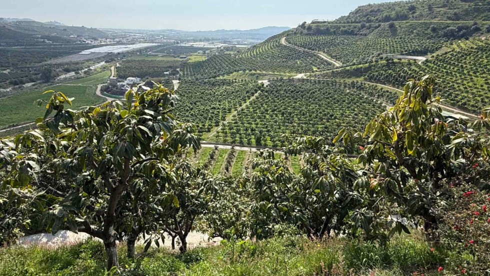 Panor�mica del Centro de Innovaci�n de TROPS