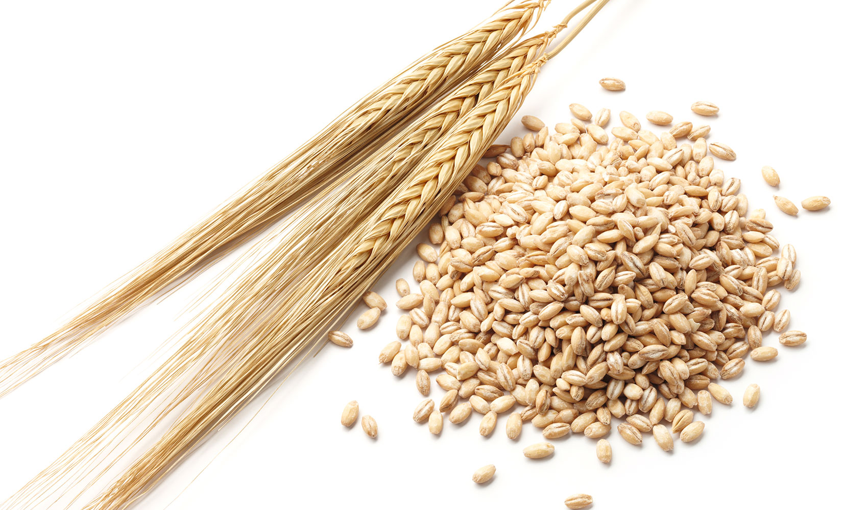 Foto de Lonja de Cereales de Barcelona, Cotizaciones de Cereal (Semana 15, 07/04/2026)