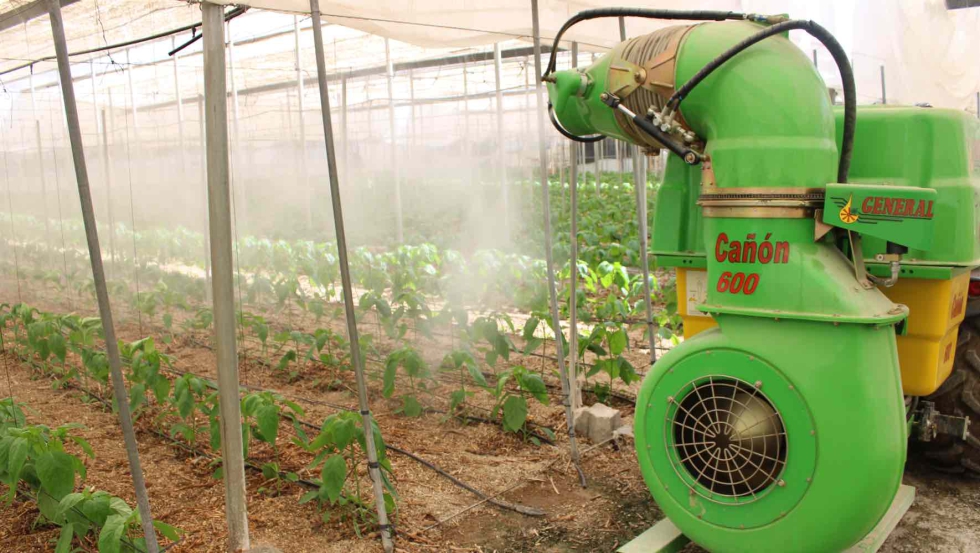 Ca��n trabajando en un invernadero de Almer�a