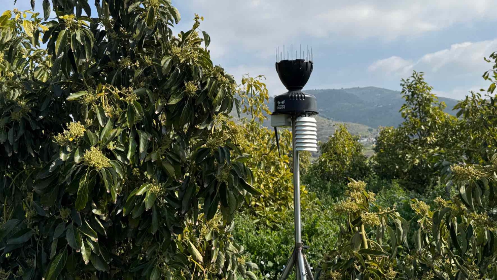Estaci�n meteorol�gica en una plantaci�n de cultivos subtropicales