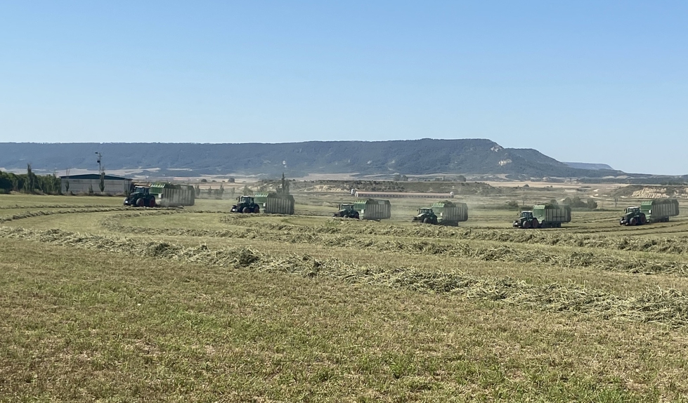 El auge del cultivo de alfalfa responde tanto a la necesidad de diversificaci�n de los agricultores como a la creciente demanda de forrajes de alta...