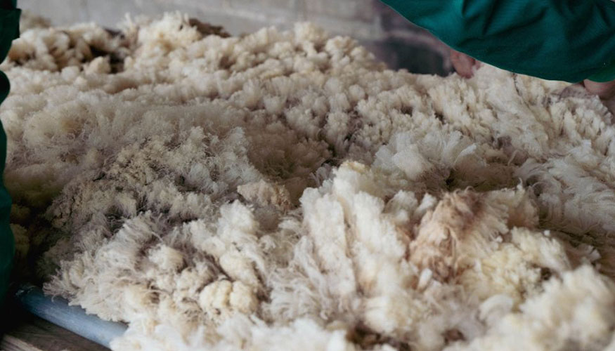 Vell�n de lana de oveja Merina