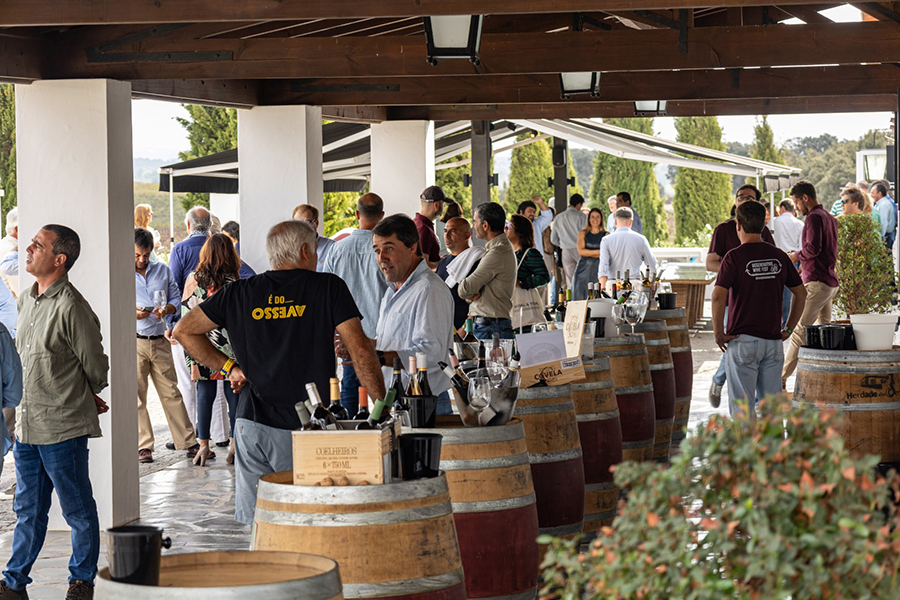 Regenerative Wine Fest 2025