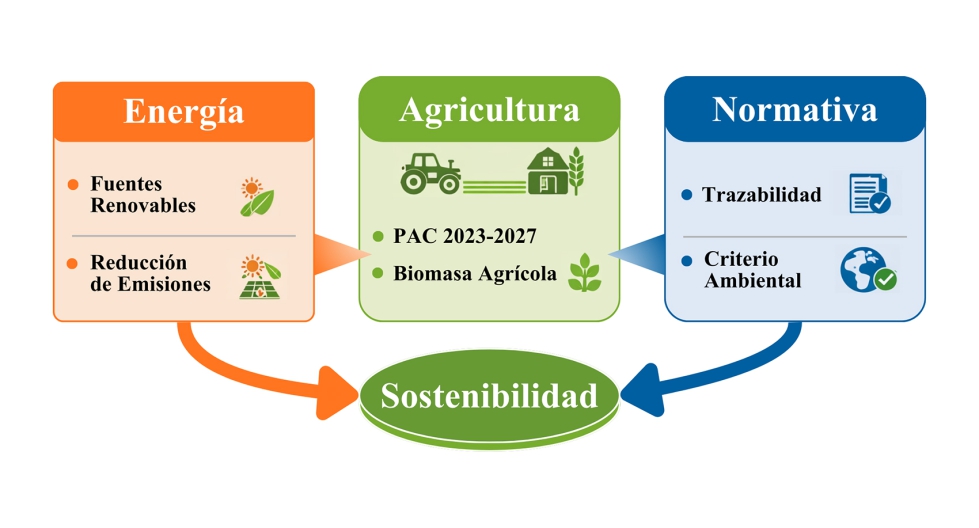 Figura 2. Relaci�n entre energ�a, agricultura y normativa en el desarrollo de los biocombustibles