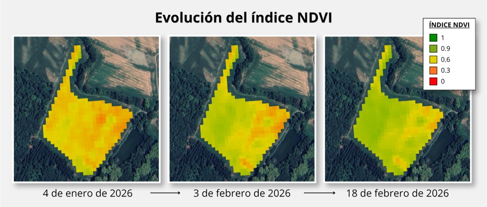 Figura 3. Evoluci�n temporal del �ndice NDVI en parcela comercial estudiada en el proyecto Bio4MET