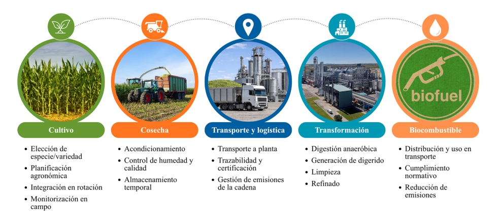 Figura 5. Cadena de valor de la biomasa agr�cola