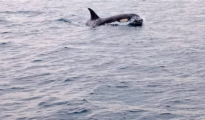 Figura 1: Aguas de Altamar (Fuente: autor)