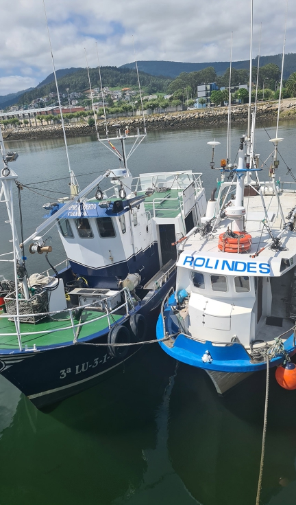 Figura 3: Pesqueros atracados en Viveiro, Lugo (Fuente: autor)