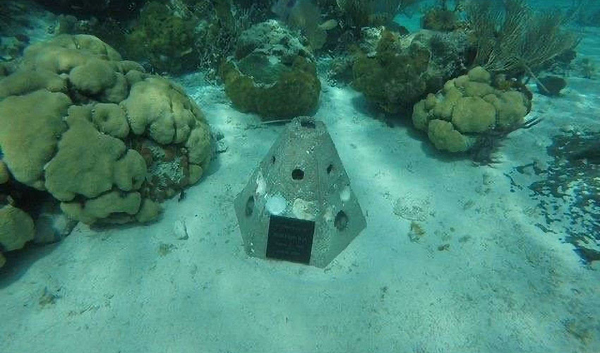 Figura 4: Arrecife �Siempre Juntos� de un santuario marino (Fuente: Maril� Velasco)