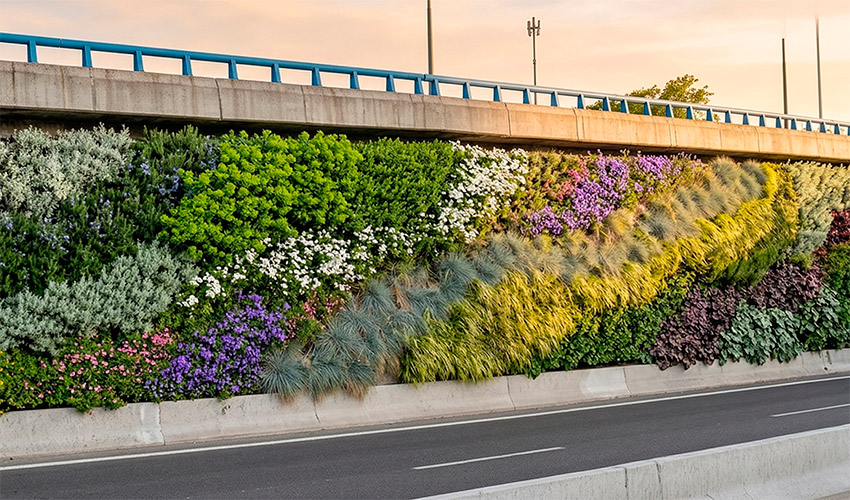 Sistema de jardines verticales previsto para la M-30, que incorporar� especies mediterr�neas y tecnolog�a de riego inteligente con agua regenerada...