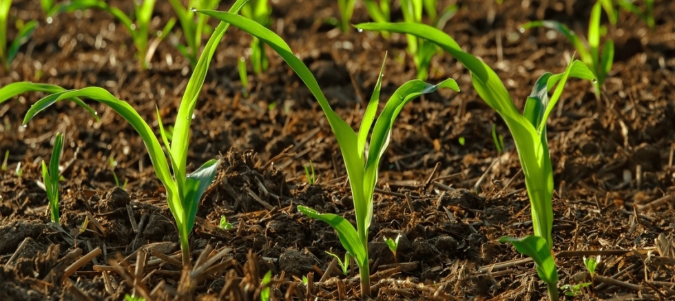 Existe una creciente demanda de soluciones que ofrezcan un claro retorno de la inversi�n, estabilidad y previsibilidad