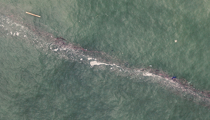 Los regueros pueden alcanzar dimensiones considerables: aunque su anchura media ronda los 10 metros, su longitud puede superar los 20 kil�metros...