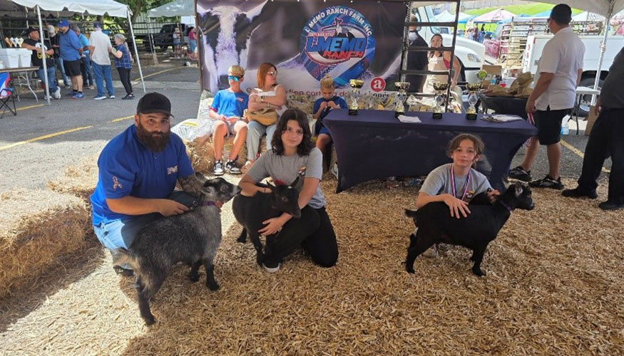 La crianza de razas miniatura, ya sea para mascota, animales de terapia, entretenimiento o exhibici�n...